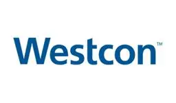 48.webp